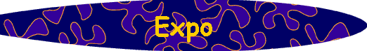  Expo 